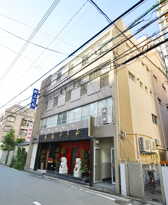 Other. Appearance Mansion Type