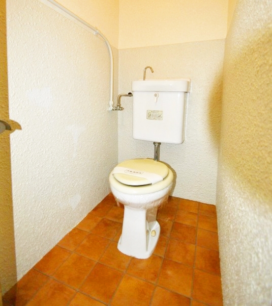 Toilet. Clean toilet