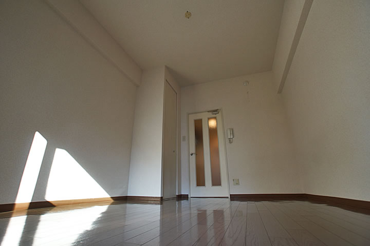 Living and room. Interior
