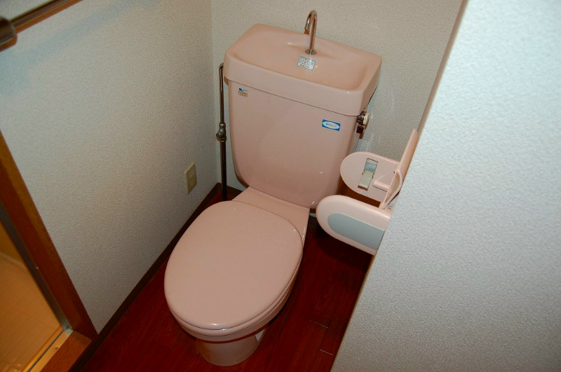 Toilet. With shelf