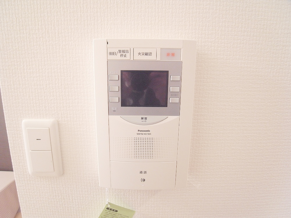 Security. TV monitor phone