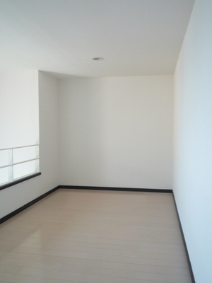 Living and room. loft