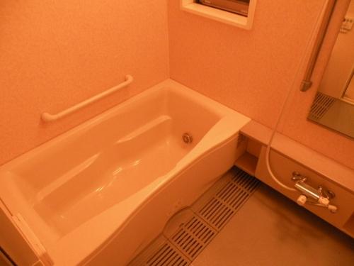 Bathroom. Interior