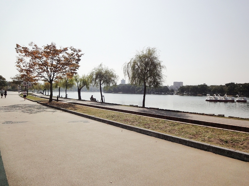 park. 100m to Ohori Park (park)