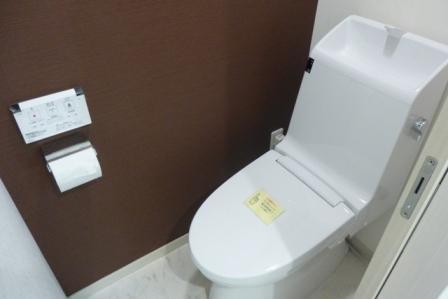 Toilet. Indoor (12 May 2013) Shooting
