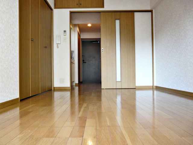 Living and room. Room 2