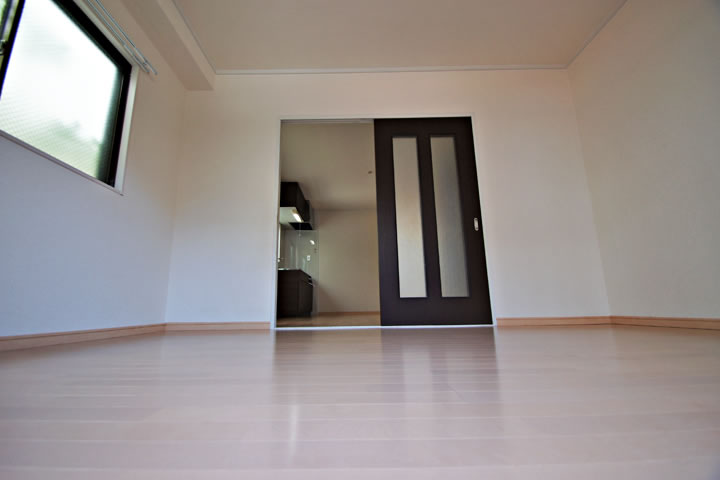 Living and room. Room (two-sided lighting)