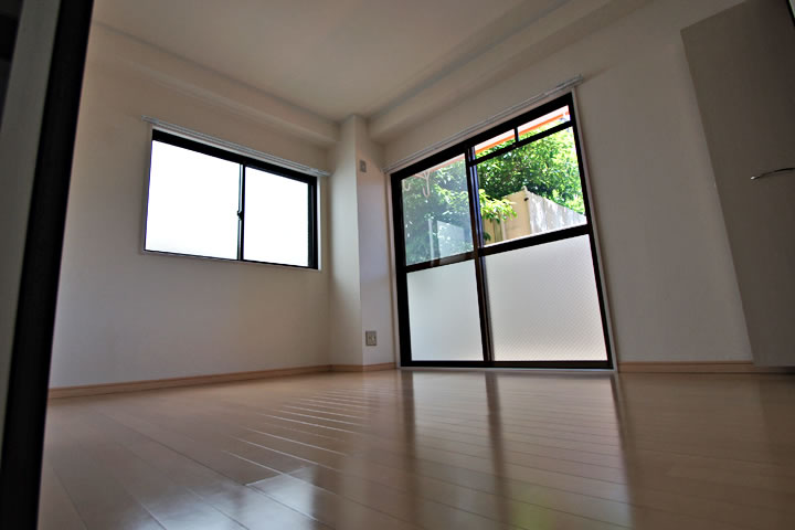 Living and room. Room (two-sided lighting)