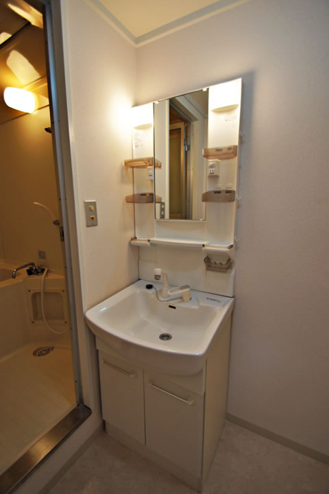 Washroom. Bathroom vanity