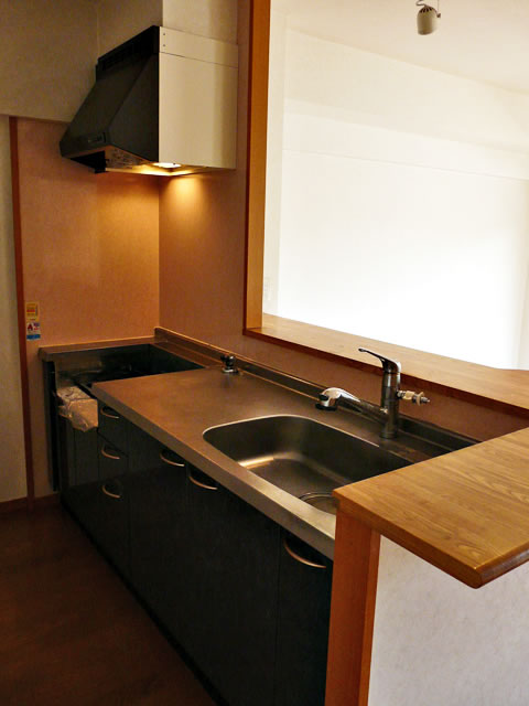 Kitchen. Counter kitchen (gas stove bring)