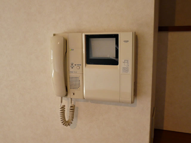 Security. Monitor with intercom