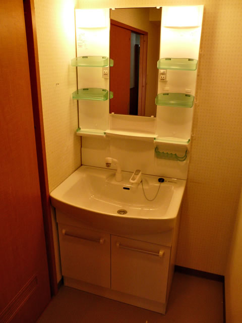 Washroom. Bathroom vanity