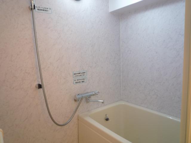 Bathroom. Indoor (11 May 2013) Shooting