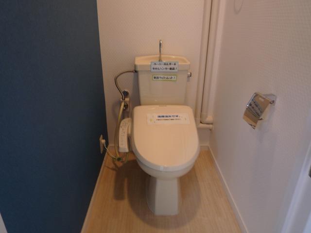 Toilet. Indoor (11 May 2013) Shooting