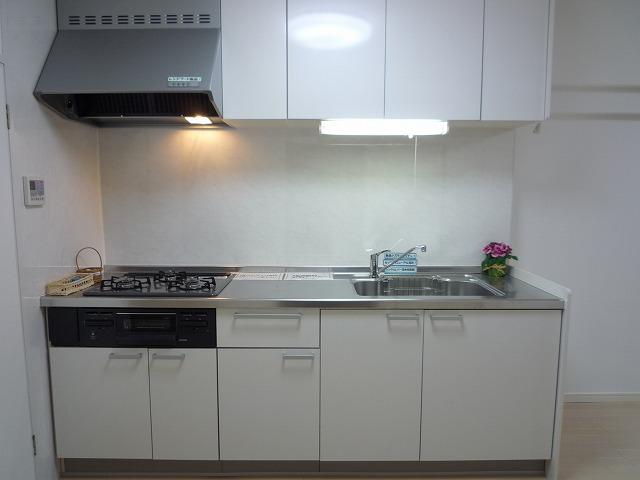 Kitchen. Indoor (11 May 2013) Shooting