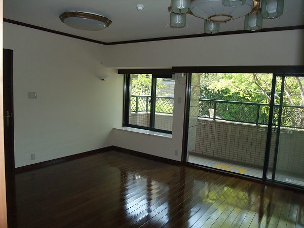 Living and room. Living