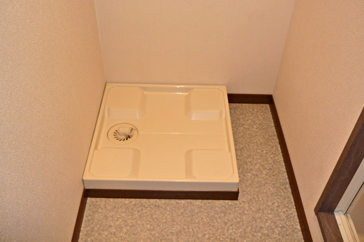 Other room space. Washing machine in the room