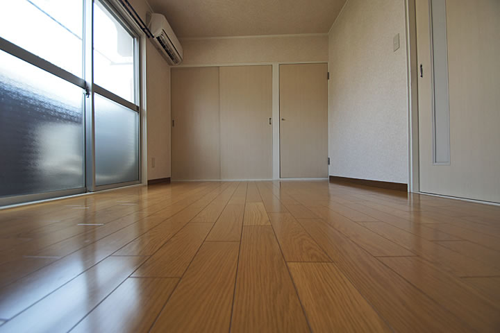 Living and room. Interior