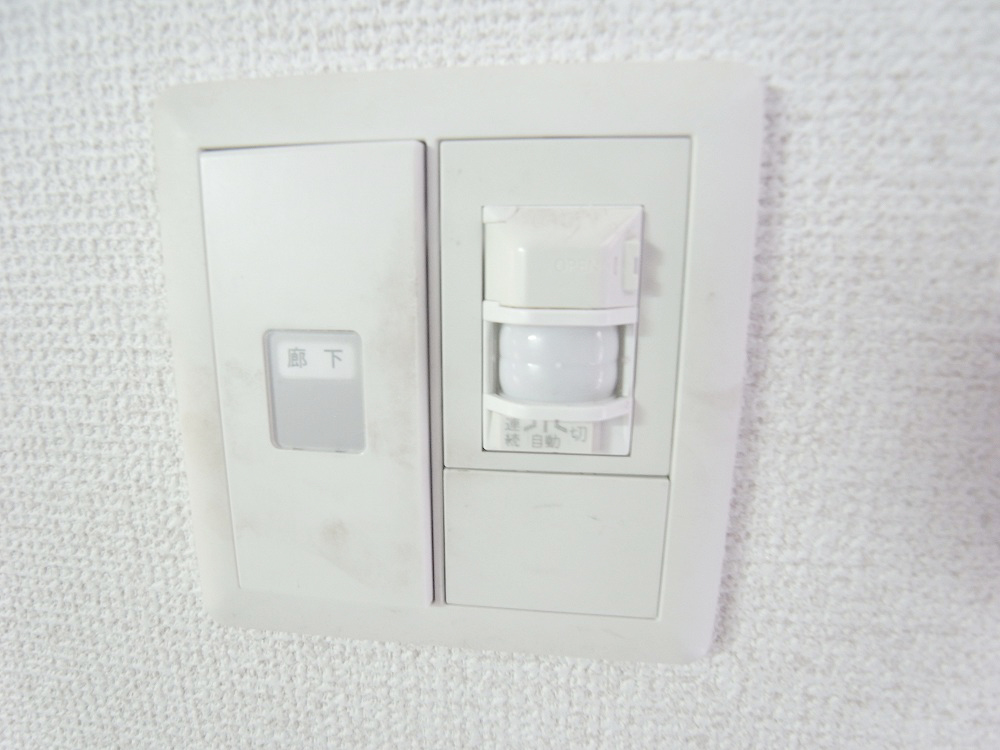 Other Equipment. Entrance human sensor light