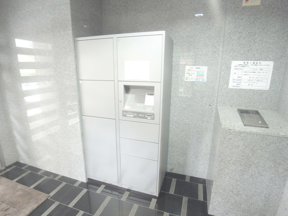 Entrance. Delivery Box