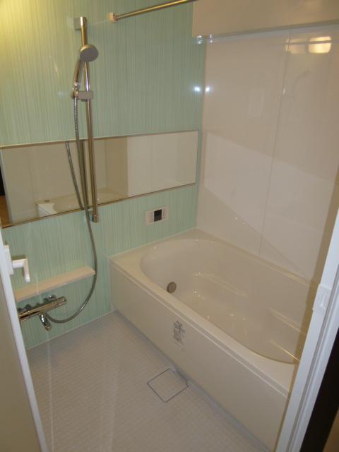 Bathroom. Indoor (211 2013) Shooting