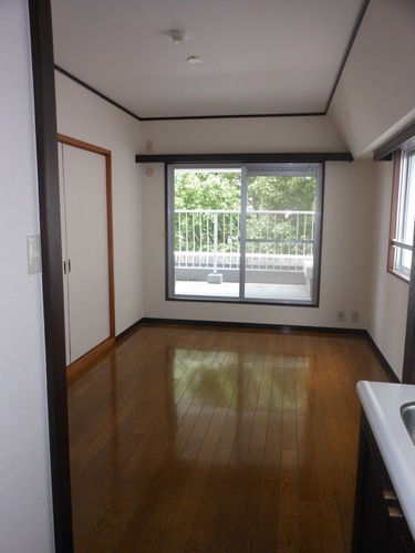 Living and room. LDK