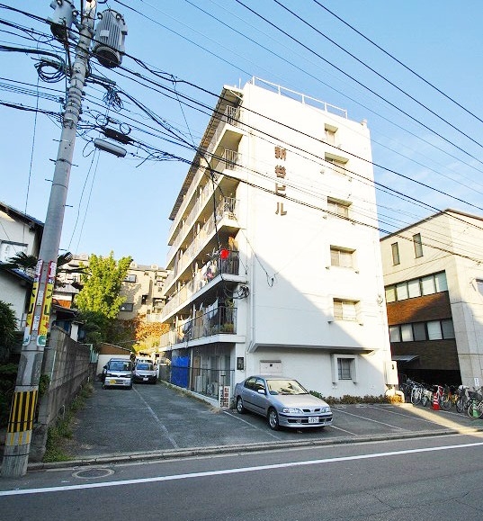 Building appearance. Appearance Mansion Type