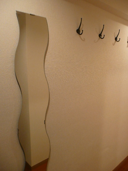 Entrance. Full-length mirror