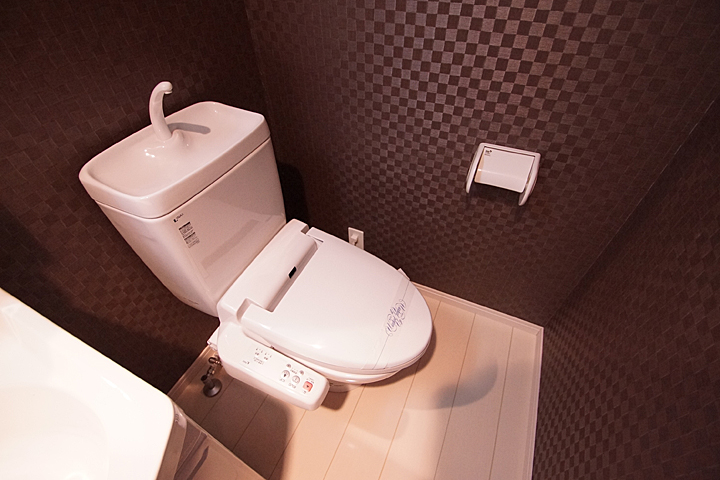 Toilet. Toilet (with washlet)