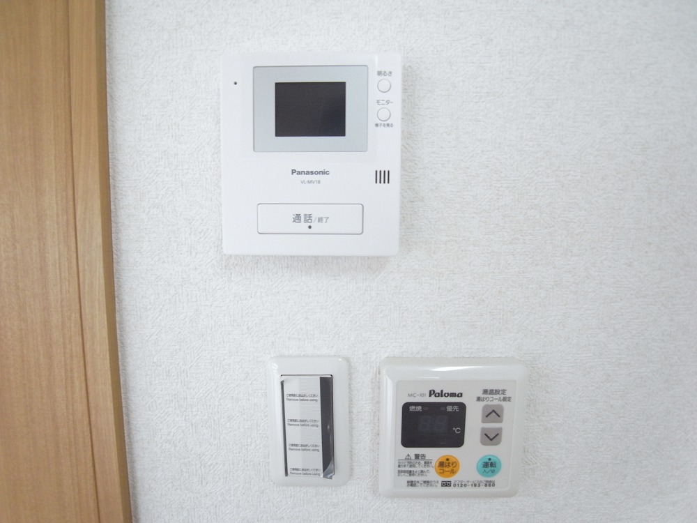 Security. TV monitor phone