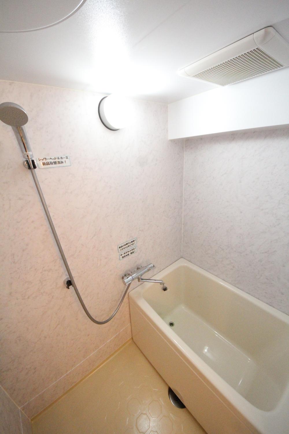 Bathroom. (October 2013) Shooting