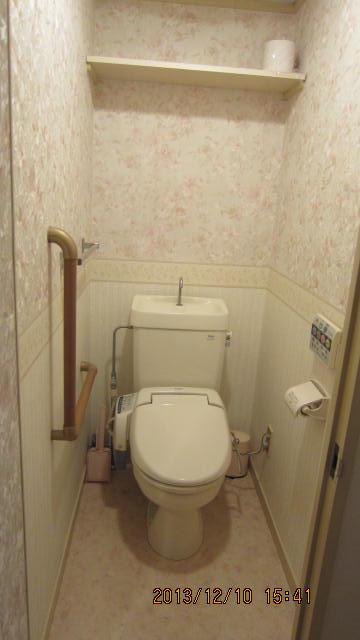 Toilet. Indoor (12 May 2013) Shooting