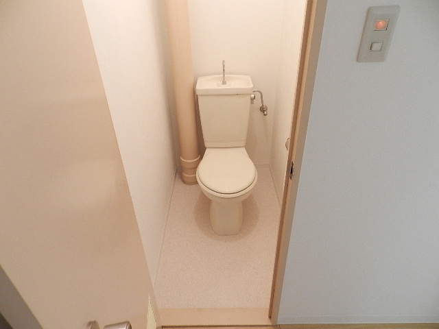 Toilet. Of course Western-style toilet. Photo another, Room