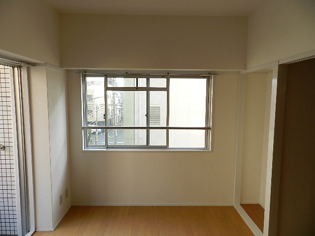 Living and room. Bright two-plane daylight. Photo another, Room