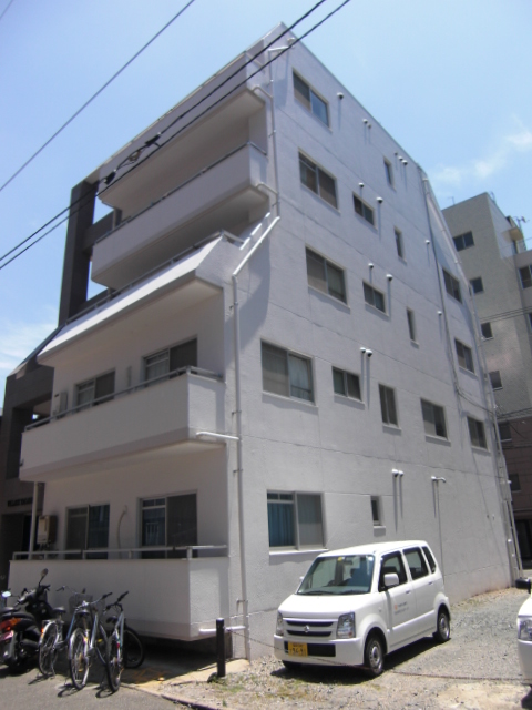 Building appearance. Outer wall renovation completed.