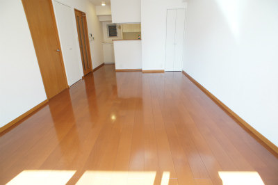 Living and room. LDK 16.4 Pledge! Counter Kitchen!