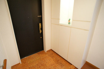 Entrance. Fashionable shoe box!