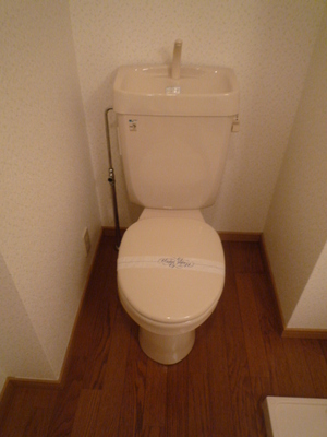 Toilet