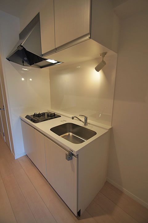 Kitchen. Kitchen (with 2 lot gas stoves)