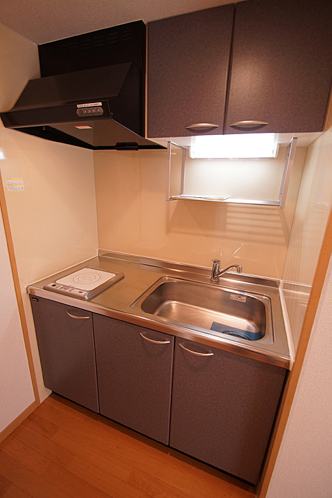 Kitchen. Kitchen (IH stove)