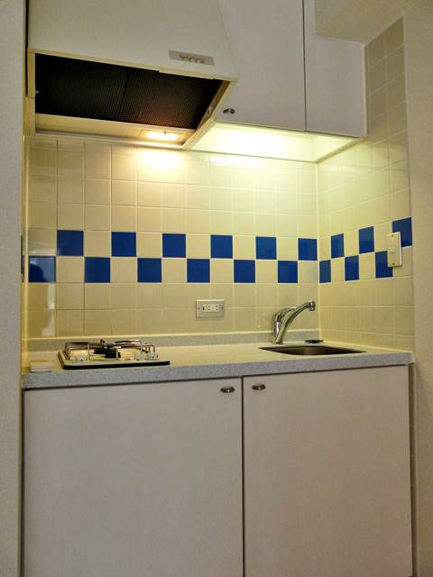 Kitchen. Kitchen (2 lot gas stoves)