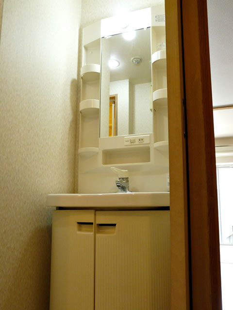 Washroom. Bathroom vanity