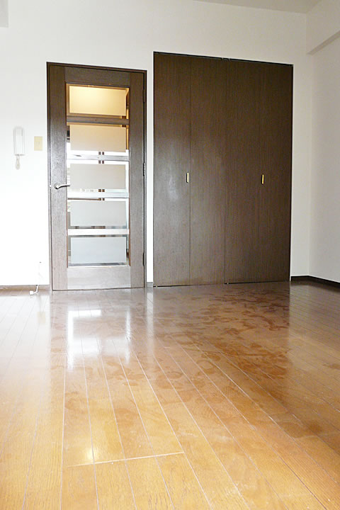 Living and room. Interior