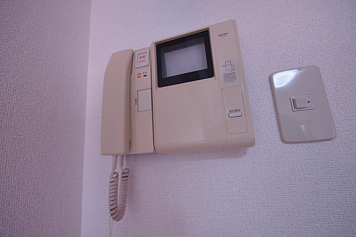 Security. Monitor with intercom