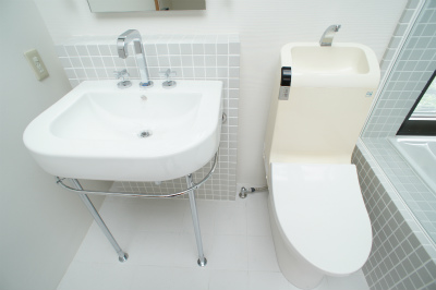 Toilet. Washlet toilet.