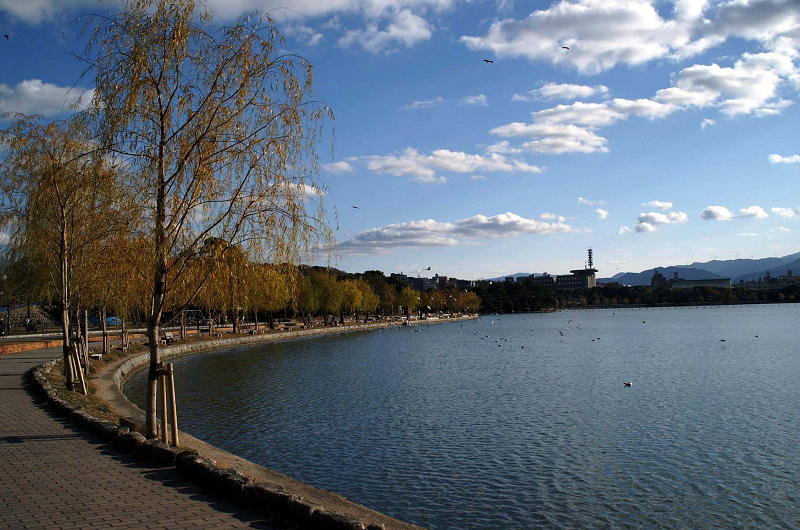 park. 495m to Ohori Park (park)