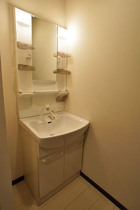 Washroom. Shampoo dresser