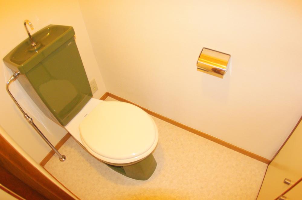 Toilet. Maintenance good of toilet!