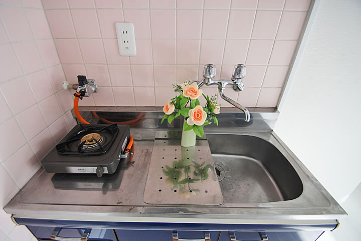 Kitchen. Bite gas stove