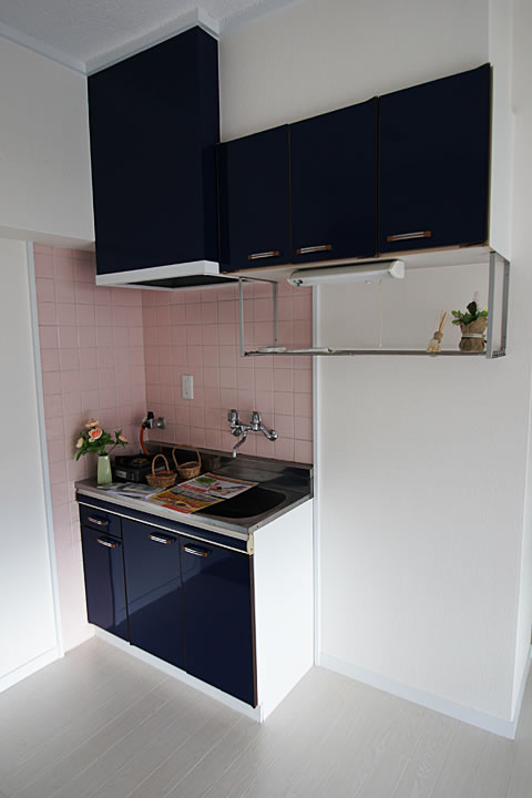 Kitchen. Sip gas stove brought type